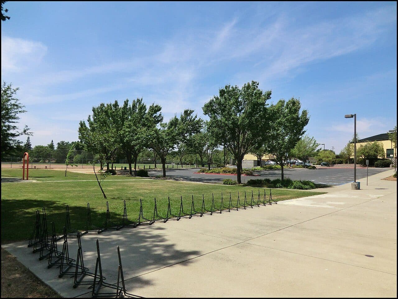 Orangevale Community Park: the open lawn and the old oaks along the edge of the ball field